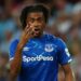 EPL: Iwobi returns as Everton hammer West Brom