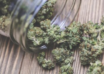 4 Major Side Effects Of Marijuana You Should Know About