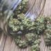 4 Major Side Effects Of Marijuana You Should Know About