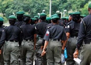 Appeal Court Nullifies Recruitment Of 10,000 Police Constables