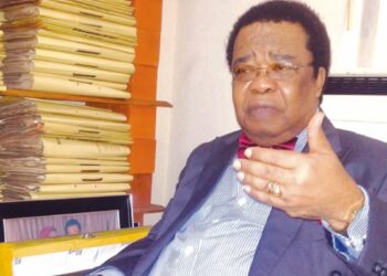 Prof. Akinyemi reveals how #EndSARS crisis favoured Nigeria