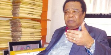Prof. Akinyemi reveals how #EndSARS crisis favoured Nigeria