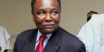 Looting Aisha Yesufu Blasts Gowon For Eating Food of Next Generation