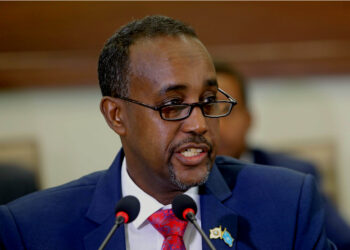 Somalia PM Sacks Minister Over Position on Tigray Conflict