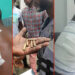 Three #EndSARS Protesters Reveal Names of 22 Alleged Victims of Lekki Shootings