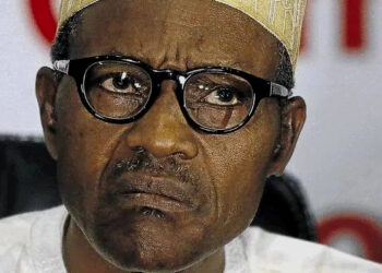 Take it Easy With My Government - Buhari Begs Critics