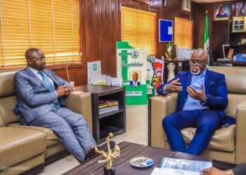 Sports Minister to NFF: Don’t wait for Rohr to fail, take necessary steps