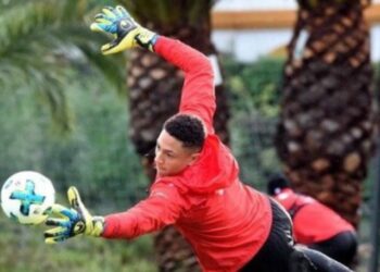 Why Maduka Okoye should start in Sierra Leone clash – Football Administrator