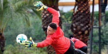 Why Maduka Okoye should start in Sierra Leone clash – Football Administrator