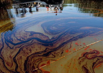 Dutch Court Orders Shell To Pay Nigerian Farmers Over Oil Spills