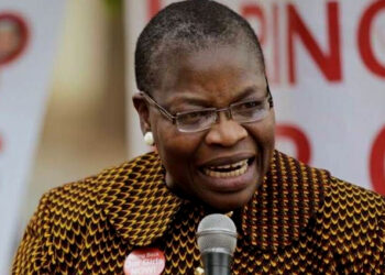Insecurity Help Nigeria Rescue Abducted Schoolboys - Ezekwesili Begs United States
