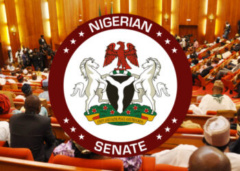 Nigerian Senate Rejects President Tinubu's Request For Military Intervention In Niger Republic