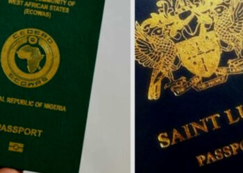 Wealthy Nigerians Spend Over $1b Buying Citizenship Abroad In 2020