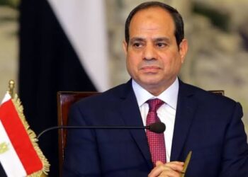 Egypt's President El-Sisi Announces Bid For Third Term