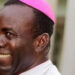 Catholic Bishop kidnapped in Imo Regains Freedom