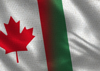 Emigrate But Dont Burn Your Nigerian Bridge