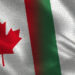 Emigrate But Dont Burn Your Nigerian Bridge