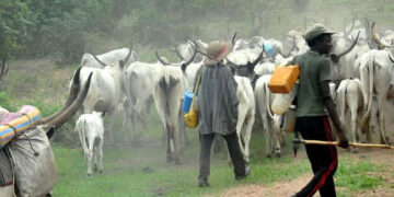 Of hate and Viral Videos The Ebonyi Fulani Eviction That Didnt Happen