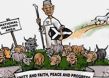 The Last Days of Nigeria