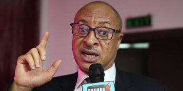 Why Biden Will Not Support Buhari’s Government – Utomi