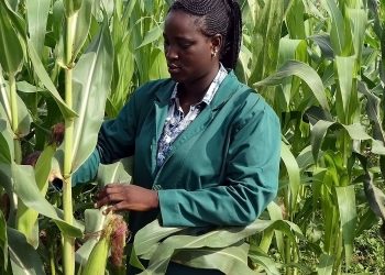 2021 Rainy Season: Do Not Rush To Farm Yet, NiMet Cautions Farmers