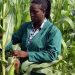 2021 Rainy Season: Do Not Rush To Farm Yet, NiMet Cautions Farmers
