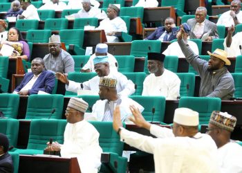 Electoral, Judicial and LG Reforms Top Constitution Amendment Agenda- Reps