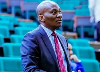 Actions of State Actors Fuelling Banditry, Terrorism - Elumelu