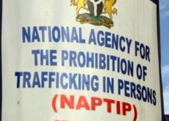 Human Trafficking: NAPTIP To Investigate Two Staff Of The Office Of The Accountant-General Of The Federation