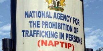 Human Trafficking: NAPTIP To Investigate Two Staff Of The Office Of The Accountant-General Of The Federation