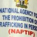 Human Trafficking: NAPTIP To Investigate Two Staff Of The Office Of The Accountant-General Of The Federation