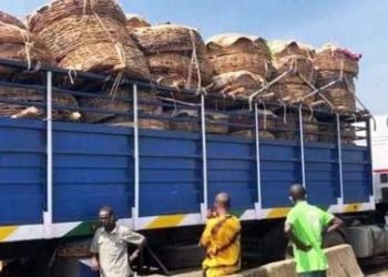 Relief as Movement of Food Trucks Resumes from North to South