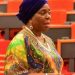 Senator Olujimi Chides Security Agencies Over Bloody Ekiti Bye-election