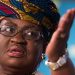 EU Drags Nigeria To WTO Over Ban On Importation Of Diary Products