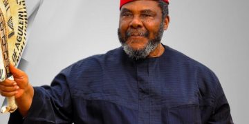Rise In Domestic Violence A Result Of Feminism – Pete Edochie