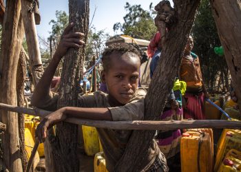 Ethiopian Diplomat Resigns, Accuses Govt Of War Crime