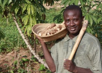 Over N550bn Disbursed To Farmers Under The Anchor Borrowers Programme- CBN