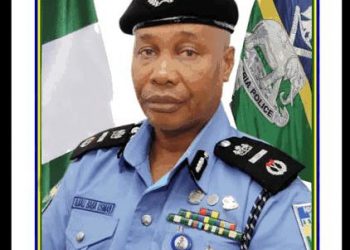Buhari Appoints New Acting IGP