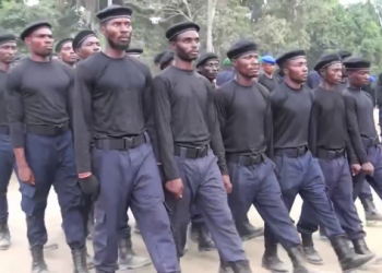 South-South Govs Urged To Establish Regional Security Outfits