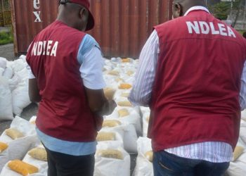 NDLEA Intercepts Trafficker With Drugs Worth N564m In Abuja