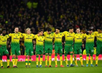 Norwich secures promotion back to Premier League