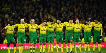 Norwich secures promotion back to Premier League