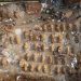 Covid-19: Gravediggers Work Round The Clock As India Infections Top 18 Million