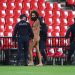 Police says pitch invader hid for hours before Granada-Man Utd match