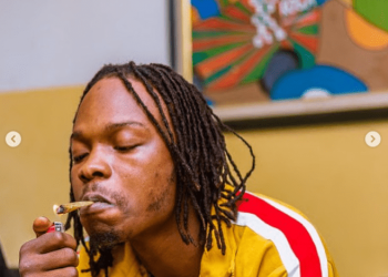 Drug Scandal: Why Wizkid, Burna Boy, Others May Be Arrested By NDLEA