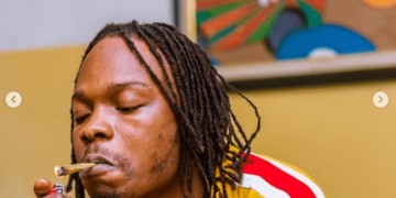 Drug Scandal: Why Wizkid, Burna Boy, Others May Be Arrested By NDLEA