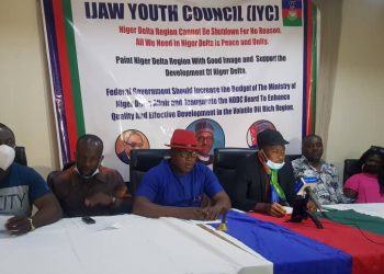 NDDC: Shutting Down Niger Delta Not An Option – IYC