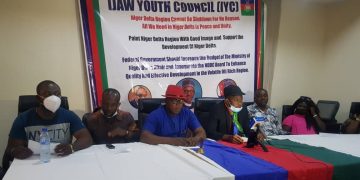 NDDC: Shutting Down Niger Delta Not An Option – IYC