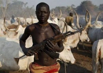 Over 107,000 Children Made Homeless In Benue By Herders In 2021- Report