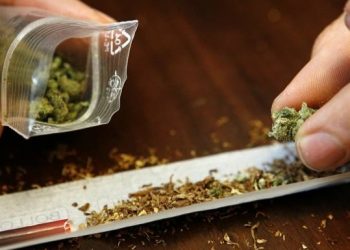 House of Reps Set To Legalise Use of Indian Hemp For Economic Benefits— Spokesperson